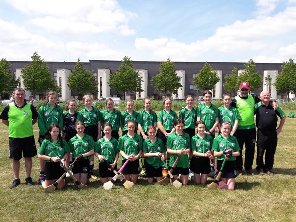 Lucan Sarfields Camogie