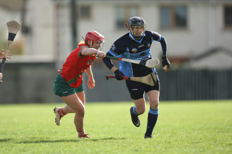 Dublin Camogie Adult Championship
