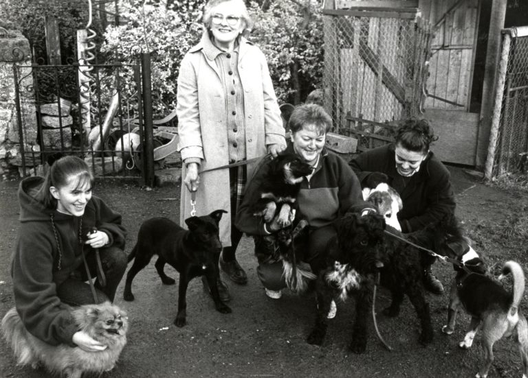 Animal Aid Clondalkin 1995