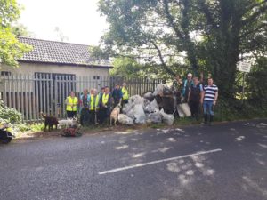 Dodder Clean Up 2019