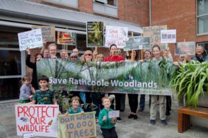 Save Four Districts Woodland Habitat