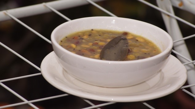 Newsgroup-Recipes-Kwati–full-moo-festive-soup
