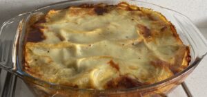 lasagne-newsgroup-recipes