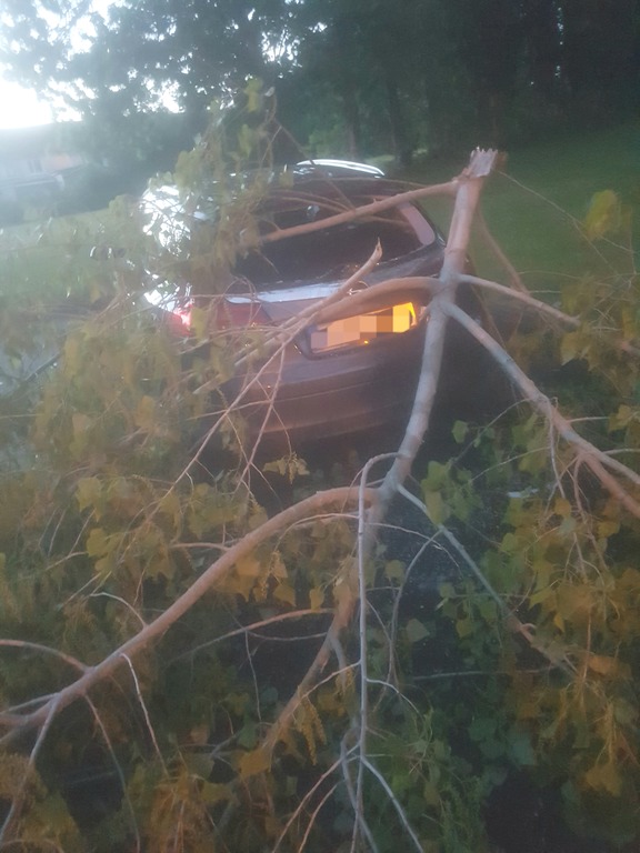 Damaged-car-Trees-Rathfarnham