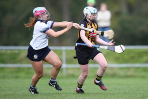 Leinster Camogie Minor A Championship