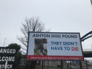 Ashton Dog Pound