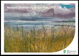 National Biodiversity Action Plan