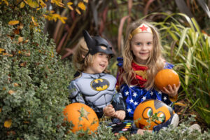 Liffey Valley Pumpkin Patch and Halloween Experience