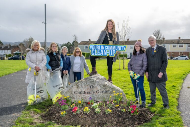 Dublin Community Clean Up